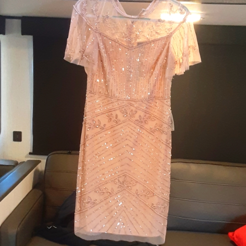 Adrianna  papell dress